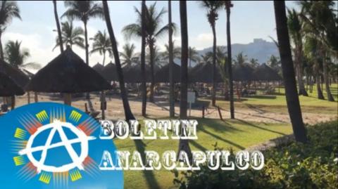 Boletim Anarcapulco 16 - Del Bigtree, Dan Dicks, John McAfee, Jeff Berwick |  18/02/20 | ANCAPSU