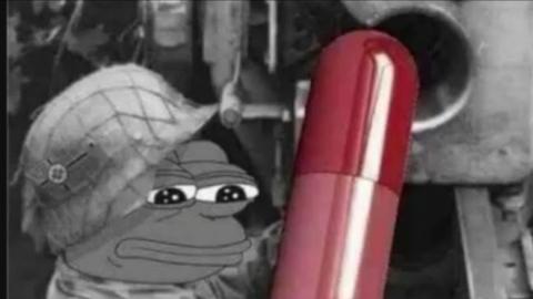 RACCOONING RACCOON - REDPILL REGE E DEPENDÊNCIA BIOLÓGICA