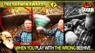 DARWIN AWARDS : WHEN YOU PLAY WITH THE WRONG BEEHIVE.. (CHINA)