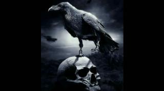 KORVOS , O BLACKPILLADOR - MULHER MORR€ PORQUE É VAGABUND4!