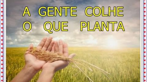 Lei do Plantar e Colher! A Lei da Semeadura! Realidade ou Besteira?