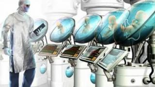 RACCOONING RACCOON - POR BEM OU POR MAL, DE UM JEITO OU DE OUTRO