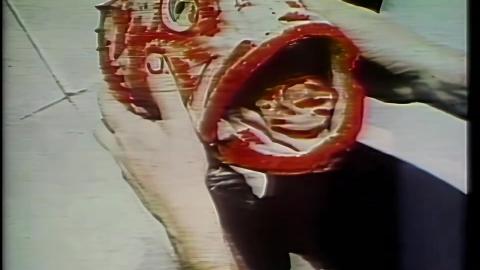Fish Lips,  Fish Lips  -  Roly Poly Fish Lips  -  Fish Lips,  Fish Lips  -   Fuck them up the Bum