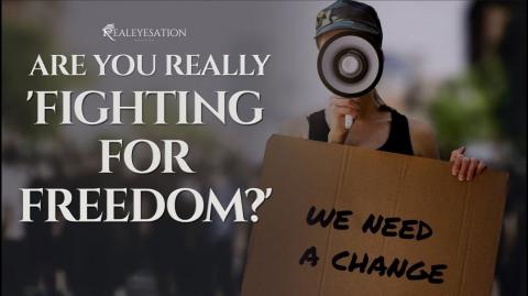 Are You Really 'Fighting For Freedom?'