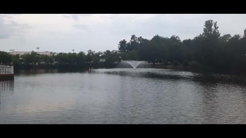 Redpill Entertainment Is Needed Part 19 - Mgtow