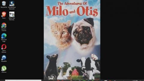 The Adventures of Milo and Otis Review