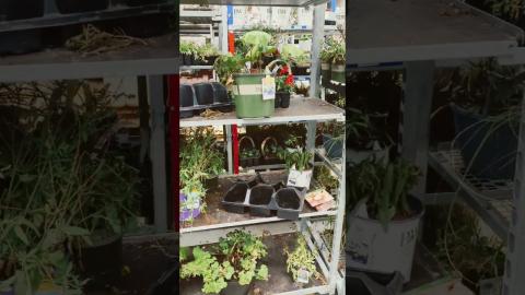 Lowe's Garden Section is the Worst in the Business!