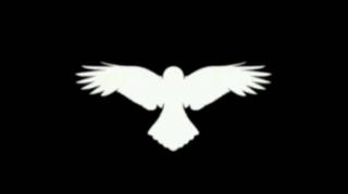 KORVOS, O BLACKPILLADOR - AMIZADES