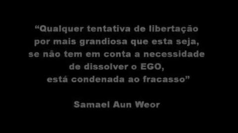 Mgtow Von Baster - Personalidade, Essência e Ego