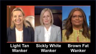 (Idiot) Wimmins In (Australian) Politics