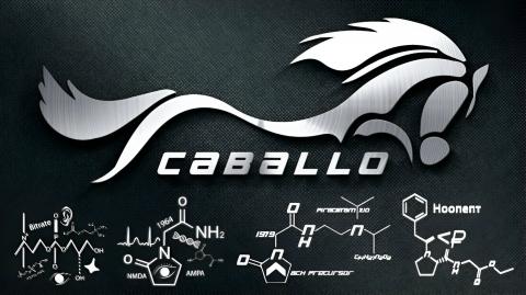 The Caballo Story (I created a PEERLESS smart drug)