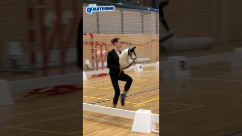 Gen Z Woke Chic Ruthlessly Mocked  Over Insane Hobby