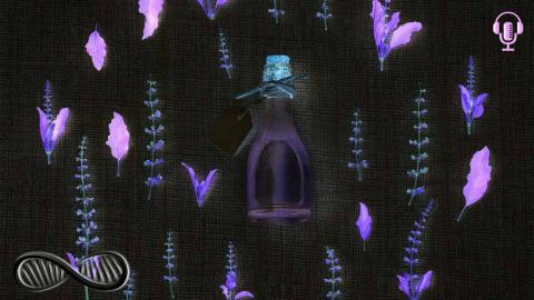 Essential Oils Guide: What the industry isn't telling you...