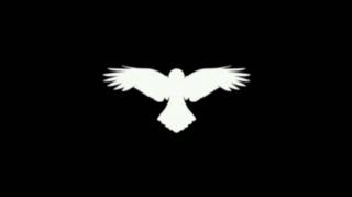 KORVOS, O BLACKPILLADOR - PROFISSIONAL BRASILEIRO É UM LIXØ