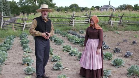 Cabbage and Sauerkraut - US Civil War Farming and Feeding
