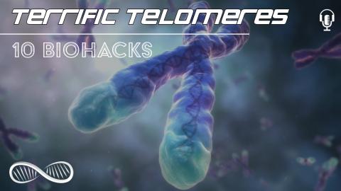 Ten Tips for Terrific Telomeres