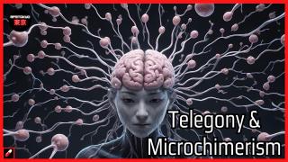 Do Women Keep the DNA of Previous Partners?