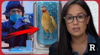 Host Goes Silent When Doctor Admits Bird Flu LEAKED From a Lab _ Redacted w Clayton Morris