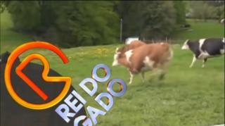 Macho man cid gomes ganhou um prêmio! | Prêmio Rei do Gado - Fevereiro de 2020 | ANCAPSU