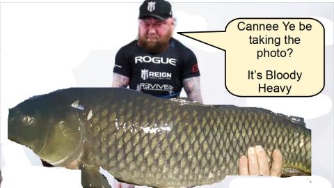 Dumb Fux and Fishing Gnotts - C Pinned Links.