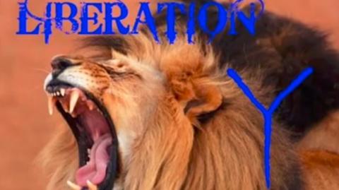 Random Observation 14;  Females Presence -> MGTOW