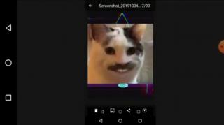 UM DIA DE FÚRIA - O QUE VOCÊ ACHA DO MGTOW ? ANA RESPONDE(