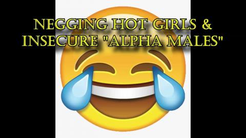 PUA Stories - Negging Hot Girls & Insecure "Alpha Males"