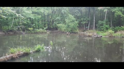 Why We Left Part 79 - SYSBM