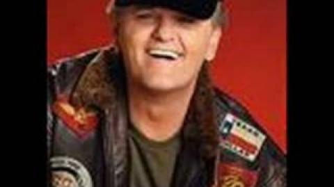 Jerry Reed "She Got the Goldmine, I got The Shaft"