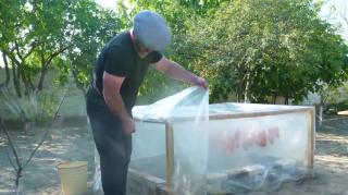 Lamb Fat is Happiness for Gourmets - A Treat That Everyone Will Appreciate