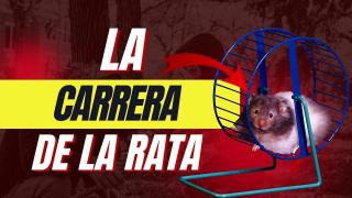 La Verdadera Carrera de La Rata
