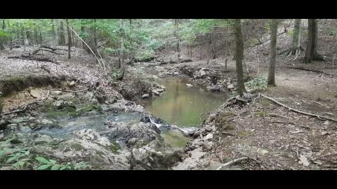 Why We Left Part 80 - SYSBM