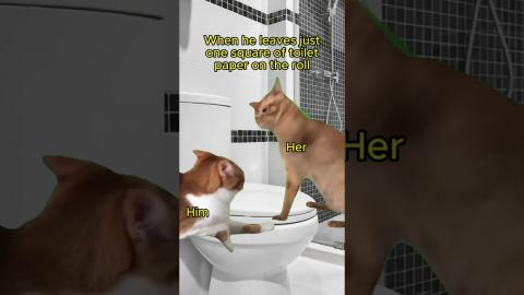 Replacing The Toilet Paper: A True Test Of Love