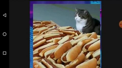 UM DIA DE FÚRIA - VIDAS MASCULINAS IMPORTAM