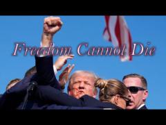 Donald Trump Shot 07/13/2024