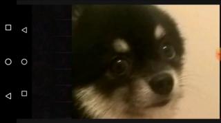 UM DIA DE FÚRIA - LEONARDO FAZ 23 ANOS DE CASADO E MULHER É SINCERA DECEPÇÕES E TRAIÇÕES