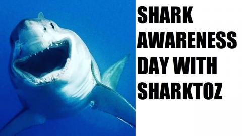 Shark Awareness Day w/ Sharktoz!