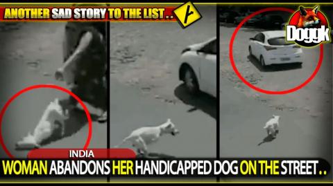 WOMAN ABANDONS HER HANDICAPPED DOG ON THE STREET.. (INDIA) >> SAD..