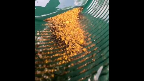 Gold Panning in Pay Dirt