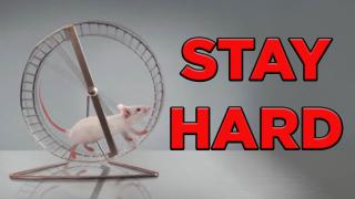 Who is gonna carry the boats?