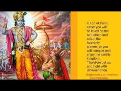 White Horses Between the Battle Lines