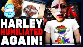 Harley Backlash Just Got WAY WORSE! Indian ROASTS Them & Sturgis Riders RAGE At New Controversy