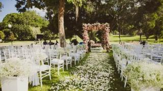 Sou alérgico a casamento!