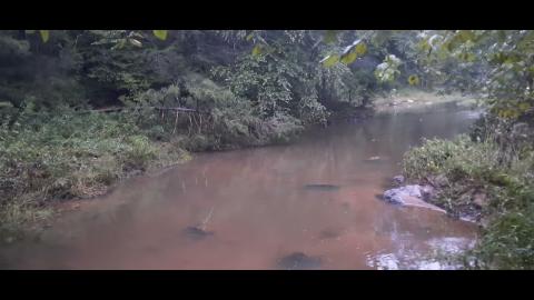 Year Of The Chameleon Part 23 - Mgtow