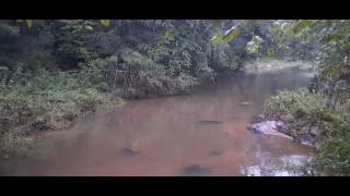 Year Of The Chameleon Part 23 - Mgtow