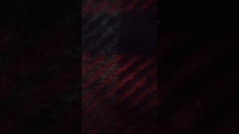 BetaBux album double platinum track 6 salute life of hell inc.