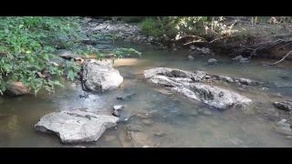 They Don't Know US - SYSBM