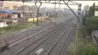 the Darwin awards - Sl