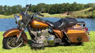 Harley Davidson Went Woke! So I Destroyed My Bike!!!