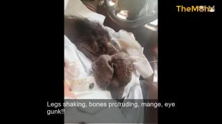 She Cried Because She Was Never Loved Before, When I Carried Her, She Fell Asleep In My Arms